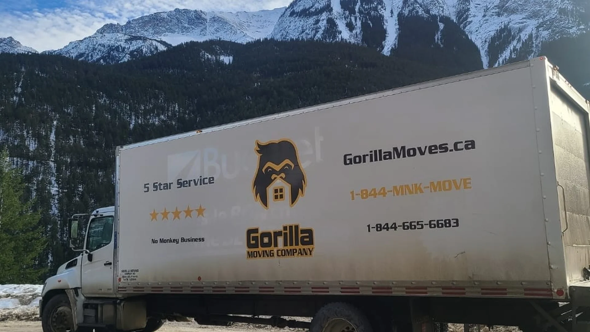 Gorilla Moves fleet of moving trucks serving the Fraser Valley BC