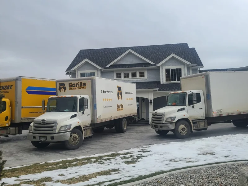 Gorilla Moves professional moving crew serving the Fraser Valley BC