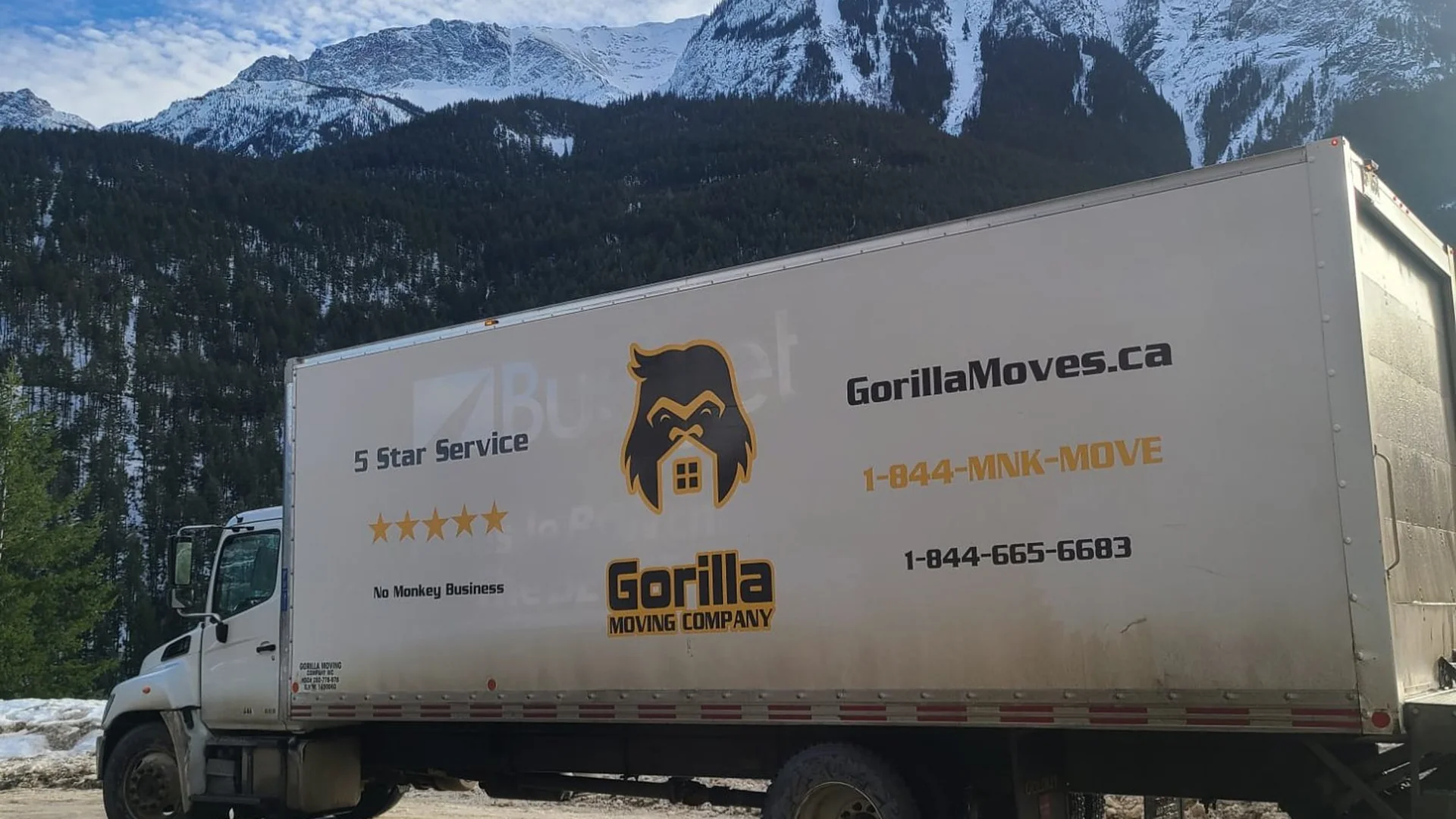 Gorilla Moves professional movers servicing Mission BC residential and commercial moves
