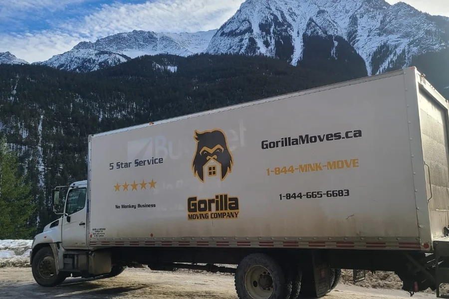 Gorilla Moves branded moving trucks ready for Abbotsford BC local and long distance moves