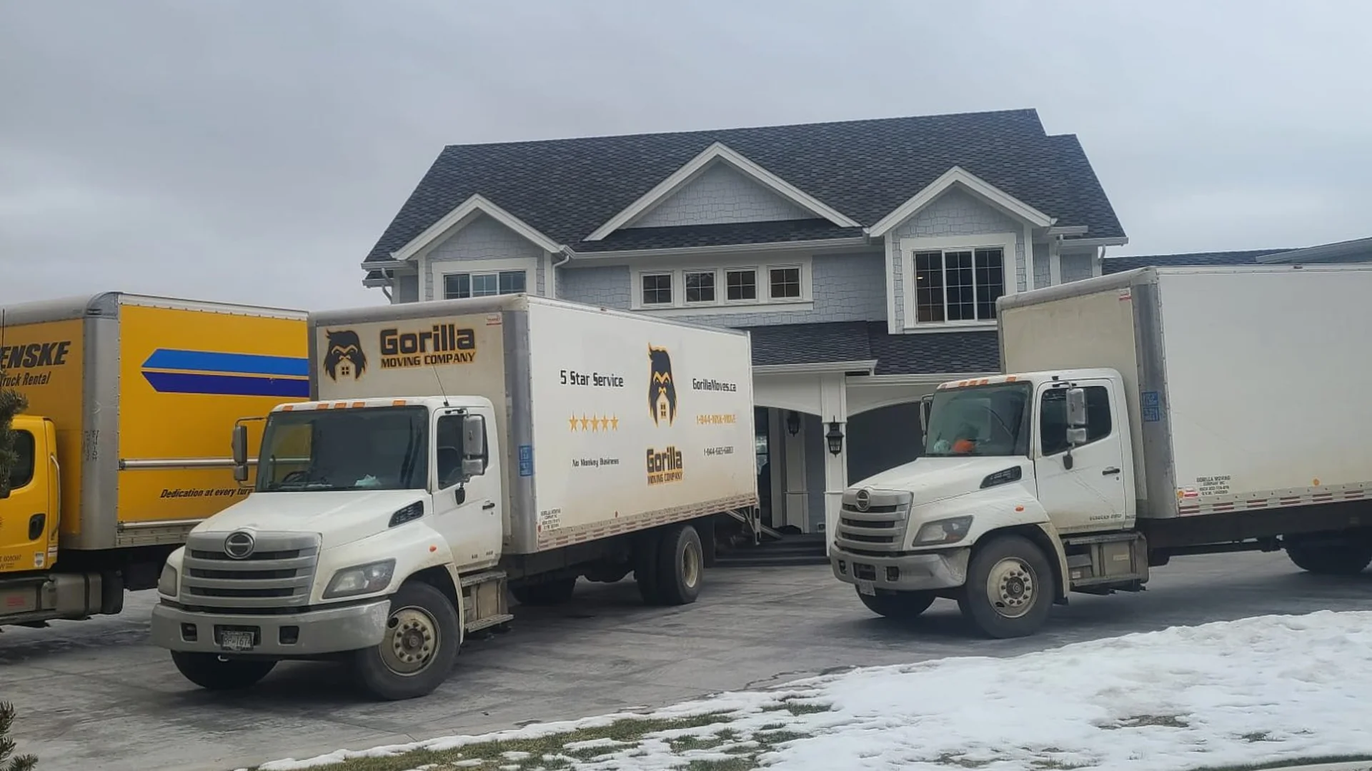 Gorilla Moves professional movers servicing the entire Lower Mainland BC